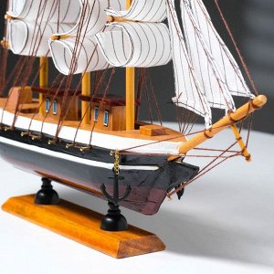Сувенирная модель корабля «Пилад», борта тёмные, 33x31x5 см