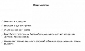 Кактус 0,2л суккуленты ЖКУ Цветочный Рай Буй