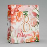 ☑ ︎Ламинированные пакеты до 15х23 см