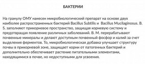 Корнеплод 1кг морковь, свекла и др ОМУ Буй