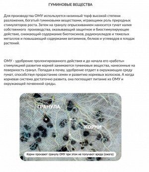 Корнеплод 1кг морковь, свекла и др ОМУ Буй