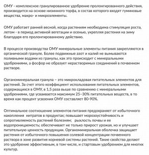 Огурец Кабачок Тыква Патиссоны 1кг ОМУ Буй