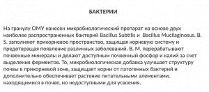 Огурец Кабачок Тыква Патиссоны 1кг ОМУ Буй