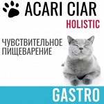 ACARI CIAR. Новая партия в пути, доступно к заказу