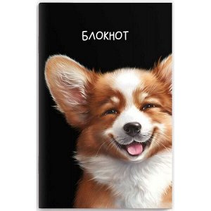Блокнот 120х185 мм 40л в точку "ВЕСЁЛЫЙ КОРГИ" 69620 Феникс