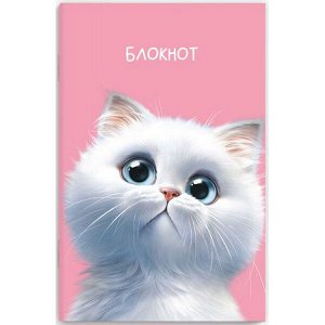 Блокнот 120х185 мм 40л в точку "МЕЧТАЮЩИЙ КОТ" 69619 Феникс