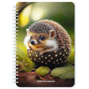 Записная книжка на спирали А5 40л "Милый ежик" С0859-84 АппликА
