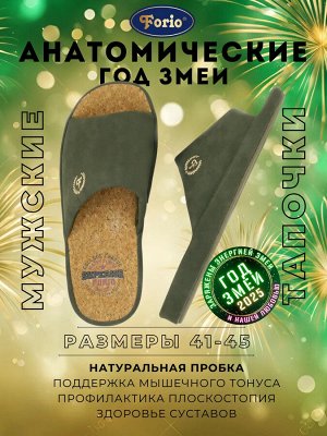 Тапочки мужские