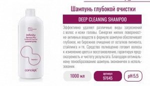 Шампунь глубокой очистки, 1000 мл INFINITY SERVICE PRO сервисные продукты Сoncept