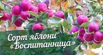 Воспитанница