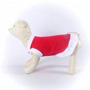 Платье OSSO для собак «Красотка», размер 35, микс цветов