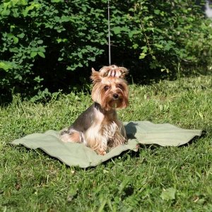 Охлаждающий коврик для собак OSSO, 50 х 70 см