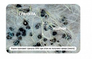Томат перец баклажан 1кг ОМУ Буй 1/30