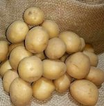 Семенной картофель &quot;Лилея Белорусская&quot;