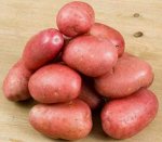 Семенной картофель &quot;Першацвет&quot;