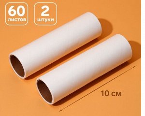 Сменный ролик для одежды Анти-шерсть, 10 см, 60 листов, 2 шт