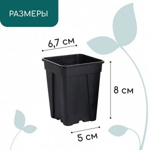 Горшок для рассады, 250 мл, d = 6,7 см, h = 8 см, пластик, чёрный, Greengo в уп. 10 штук