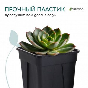 Горшок для рассады, 250 мл, d = 6,7 см, h = 8 см, пластик, чёрный, Greengo в уп. 10 штук