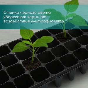Кассета для рассады, 32 ячейки по 150 мл, пластик, чёрная, 51 × 28 × 10 см