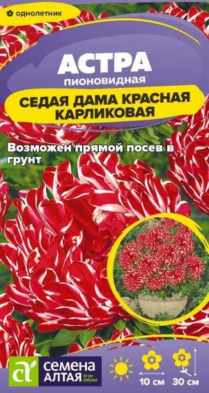Цветы Астра Седая Дама Красная карликовая/Сем Алт/цп 0,05 гр.