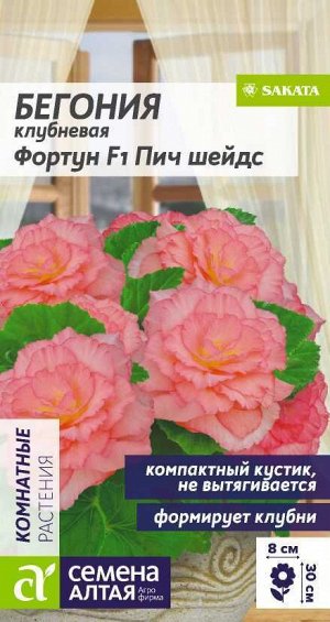 Цветы Бегония Фортун F1 Пич шейдс клубневая/Сем Алт/цп 4 шт.