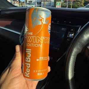 Red Bull The Winter Ediditon Orange 250ml - Ред Булл цитрусы и апельсин. Зимнее издание