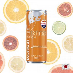 Red Bull The Winter Ediditon Orange 250ml - Ред Булл цитрусы и апельсин. Зимнее издание