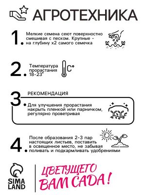 Семена Астра "Уникум (смесь", 0,2 г