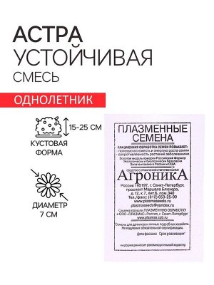 Семена Астра "Устойчивая", смесь, 0,2 г