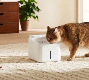 Умная поилка для животных Xiaomi Mijia Dispenser 2 Mjcwysj03