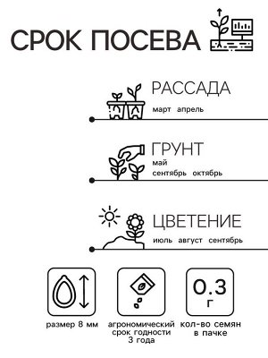 Семена Астра Принцесса Кристина 0.3г*