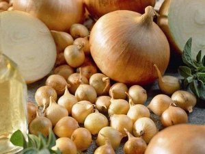 Baizheng Household Уссурийск Лук Севок Румба 8/21 среднеспелый, округлый, золотисто-коричневый