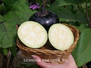 Баклажан Лаура / Сорт