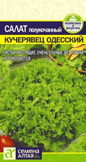 Зелень Салат Кучерявец Одесский/Сем Алт/цп 0,5 гр.