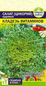 Зелень Салат Эндивий Кладезь Витаминов/Сем Алт/цп 0,5 гр.