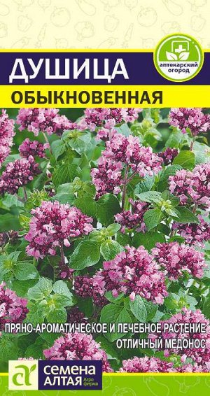 Зелень Душица Обыкновенная/Сем Алт/цп 0,05 гр.