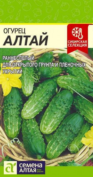 Огурец Алтай/Сем Алт/цп 0,5 гр. Сибирская Селекция!