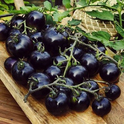 🍅Шоколадные помидоры 🍅и другие семена🍅