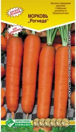 Морковь РОГНЕДА (2 гр)
