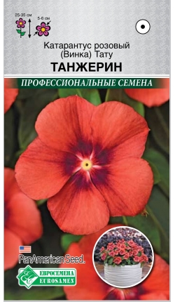 Катарантус розовый (Винка) Тату Танжерин (5шт) /PanAm Seeds