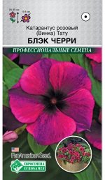 Катарантус розовый (Винка) Тату Блэк Черри (5шт) /PanAm  Seeds