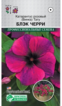 Катарантус розовый (Винка) Тату Блэк Черри (5 шт) /PanAm Seeds