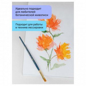 Набор художественных кистей синтетика Гамма ""Галерея"", 6шт