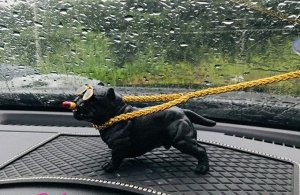 Собака на панель управления черная
