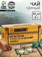 Чай подарочный «Стратегический запас» с апельсином и корицей, 25 шт. х 2 г.