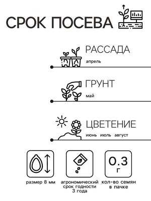 Семена Астра Принцесса Корина 0.3г*