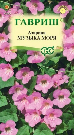 Цветы Азарина Музыка моря ЦВ/П (ГАВРИШ) 4шт однолетник до 3,5м