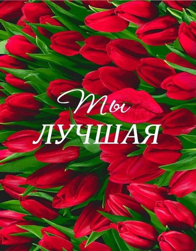 Обвал цен Кухонные полотенца в подарок