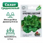 Семена Салат &quot;Кучерявец Одесский&quot; хрустящий, 0,5 г серия ХИТ х3