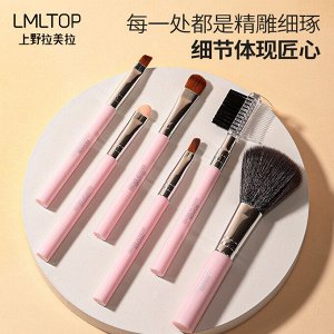 Набор кистей для макияжа LMLTop (6 шт)